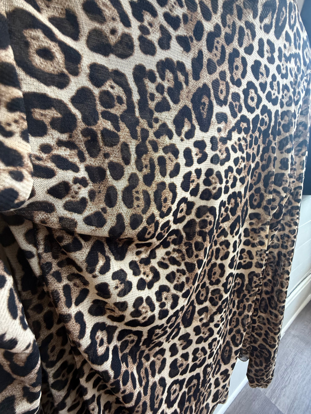 Wild Side Leopard Mesh Top